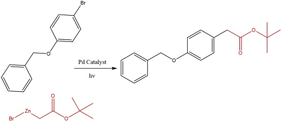 246171.fig.016